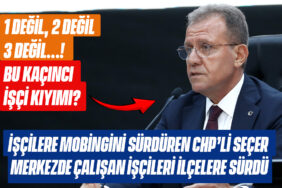 mobilhaberci şablon