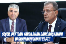 mobilhaberci şablon