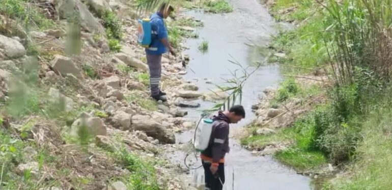 ADANA SİNEKLE MÜCADELEDE DAHA ETKİN