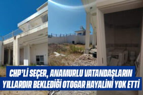 mobilhaberci şablon
