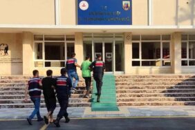 WhatsApp Image 2023-10-05 at 12.17.47