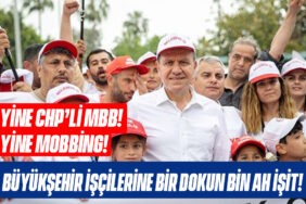 mobilhaberci şablon