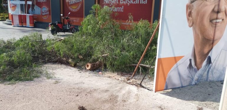 BAŞKAN TARHAN “YAKTIRMAYACAĞIZ, YIKTIRMAYACAĞIZ, KESTİRMEYECEĞİZ