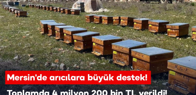Mersin’de arıcılara büyük destek!