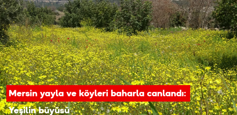 Mersin yayla ve köyleri baharla canlandı: Yeşilin büyüsü