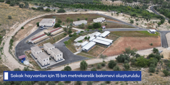 Yenişehir Belediyesi sokak hayvanları için 15 bin metrekarelik bakımevi oluşturdu