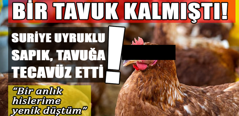 Suriyeli sapık tavuğa tecavüz etti!