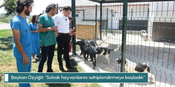 Başkan Özyiğit: “Sokak hayvanlarını sahiplendirmeye başladık”