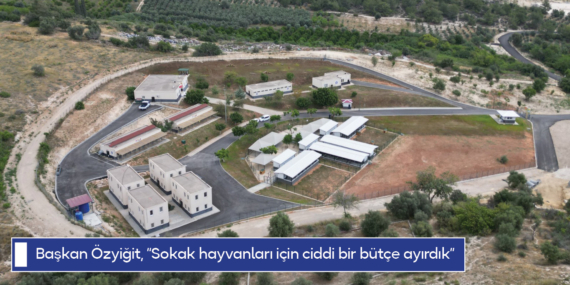 Başkan Özyiğit, “Sokak hayvanları için ciddi bir bütçe ayırdık”
