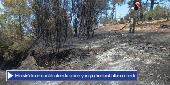 Mersin’de ormanlık alanda çıkan yangın kontrol altına alındı