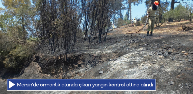 Mersin’de ormanlık alanda çıkan yangın kontrol altına alındı