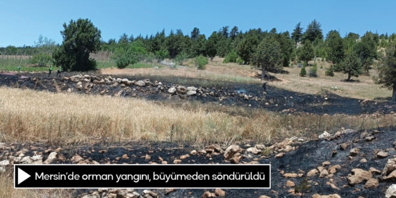 Mersin’de orman yangını, büyümeden söndürüldü