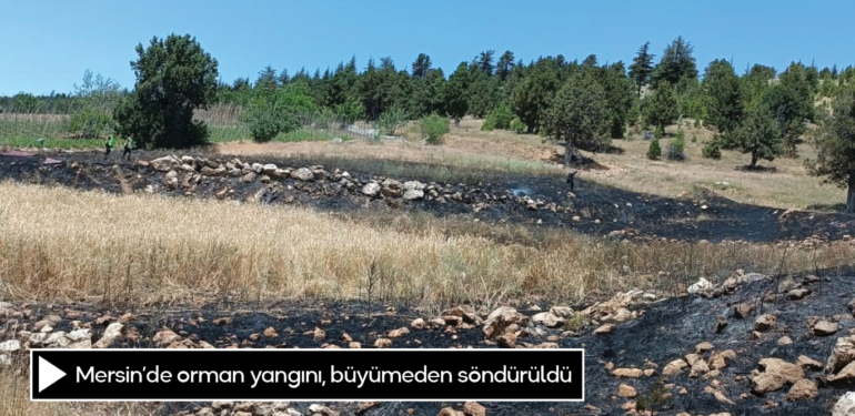 Mersin’de orman yangını, büyümeden söndürüldü