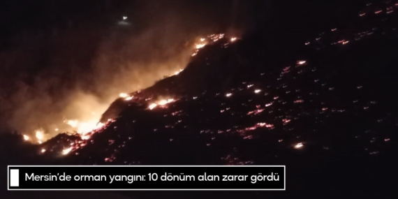 Mersin’de orman yangını: 10 dönüm alan zarar gördü