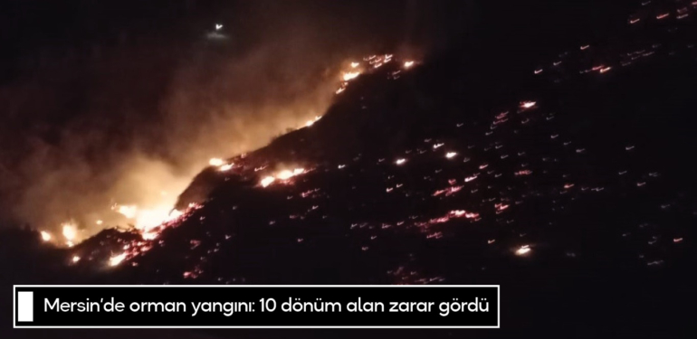 Mersin’de orman yangını: 10 dönüm alan zarar gördü