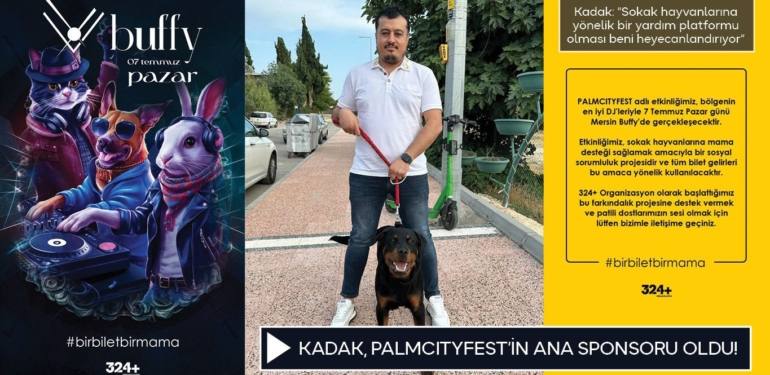 PALMCITYFEST SOKAK HAYVANLARININ YAŞAMLARINA IŞIK TUTACAK