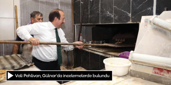 Vali Pehlivan, Gülnar’da incelemelerde bulundu