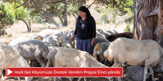 Hadi Gel Köyümüze Destek Verelim Projesi 5’inci yılında