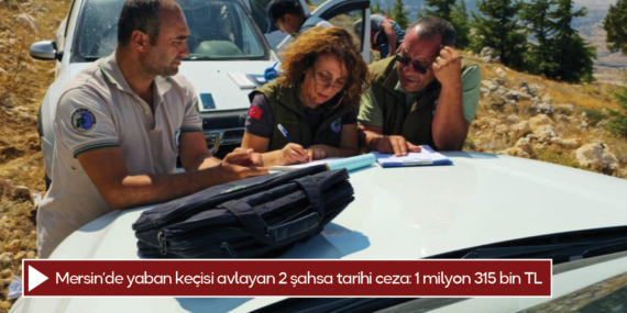 Mersin’de yaban keçisi avlayan 2 şahsa tarihi ceza: 1 milyon 315 bin TL