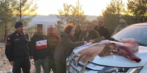Mersin’de yaban keçisi avlayan 2 şahsa 673 bin TL ceza kesildi