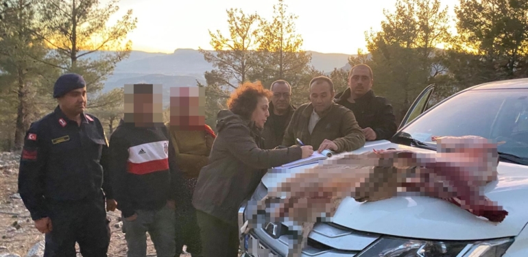 Mersin’de yaban keçisi avlayan 2 şahsa 673 bin TL ceza kesildi