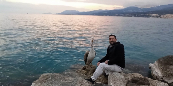 Silifke sahillerinde dolaşan pelikan insanların maskotu oldu