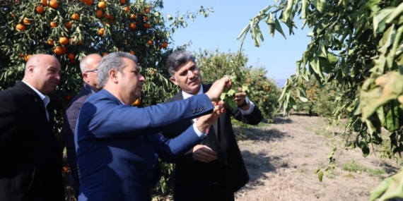 Başkan Vekili Şener, dondan zarar gören tarım arazilerinde incelemelerde bulundu