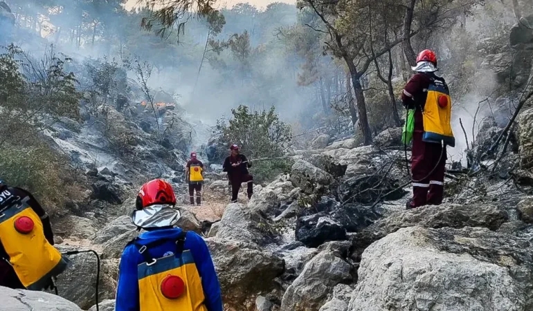 Akkuyu NGS İtfaiyesi ve Gönüllüleri Çalışmalarıyla Taktir Topladı