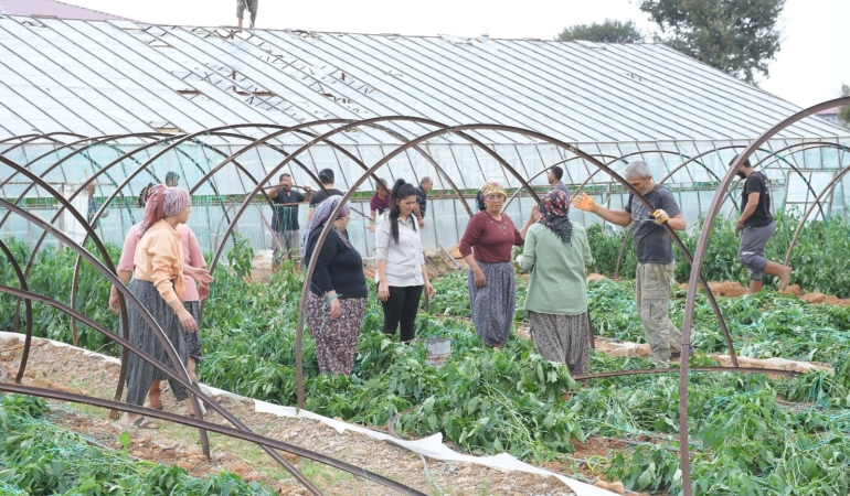 Bozyazı’da fırtına ve hortum seraları vurdu: Zarar gün ağarınca ortaya çıktı