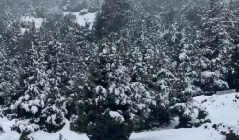 1.400 Rakım Üstüne Kar Bereketi: 30 Santime Ulaşan Örtü Kuraklığa Umut Oldu