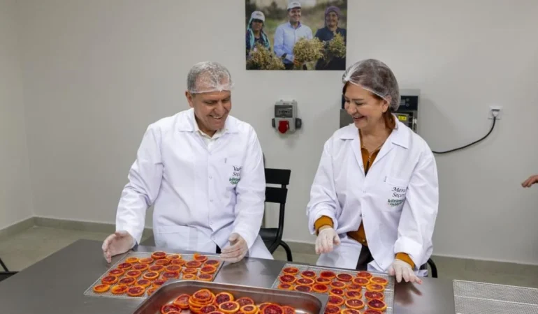 Hamzabeyli’de “Köyümüz Atölye Yerleşkesi” Açıldı: Kan Portakalı Hasadıyla Başladı