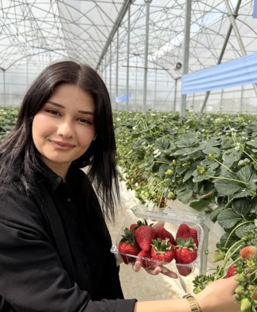 TARSUS'TA TOPRAKSIZ TARIMDA İLK ÇİLEK HASADI YAPILDI TARSUS BELEDİYESİ İLK HASADINI VATANDAŞLARA DAĞITTI BAŞKAN BOLTAÇ: "ÜRETİMİN İÇİNDE OLDUK, ÜRETİMİN NASIL YAPILACAĞINI GÖSTEREN BİR BELEDİYE OLMAYI HEDEFLİYORUZ"
