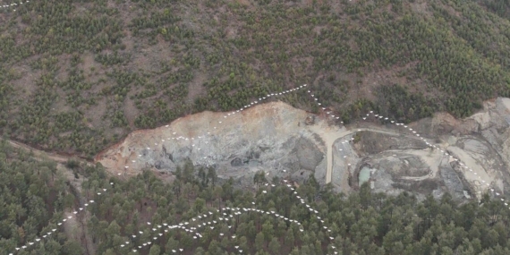 Mersin’de ak pelikanların dansı görsel şölen sundu