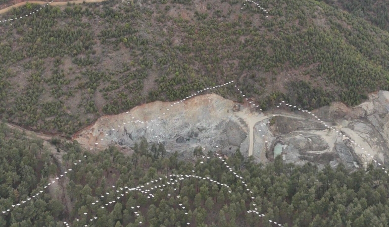 Mersin’de ak pelikanların dansı görsel şölen sundu