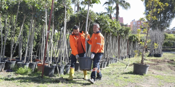 Mersin’de ağaçlandırma seferberliği başladı