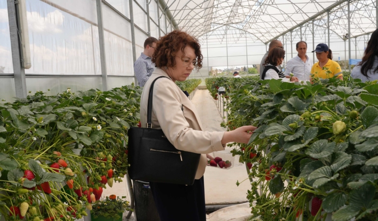 Tarsus Belediyesinden Avrupa Birliği destekli yeşil dönüşüm hamlesi