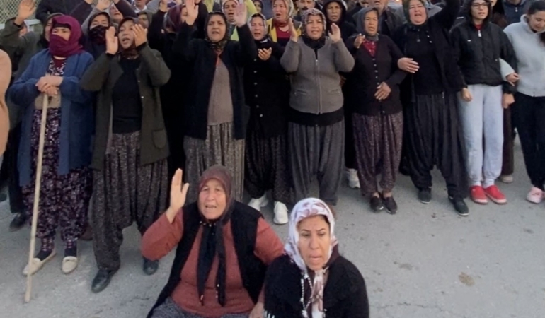 Mersin’de ormanlık alana ekili narenciye bahçelerinin kaldırılması kararına tepki