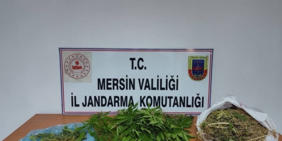 Uyuşturucu taciri yakalanıp tutuklandı