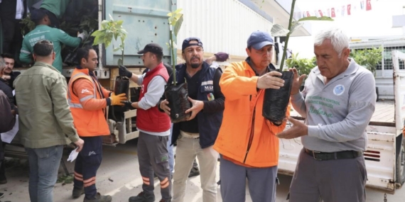 Mersin’de üreticiye avokado fidanı ve destek dağıtımı