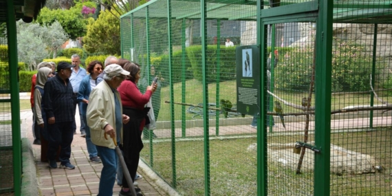Mersin Büyükşehir Belediyesinden emeklilere doğa gezisi