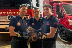 OTOMOBİLİN MOTORUNA SIKIŞAN YAVRU KÖPEĞİ İTFAİYE KURTARDI