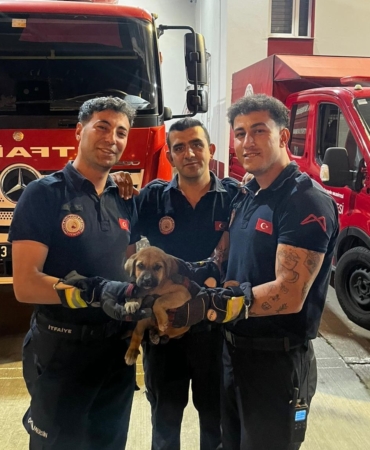 OTOMOBİLİN MOTORUNA SIKIŞAN YAVRU KÖPEĞİ İTFAİYE KURTARDI
