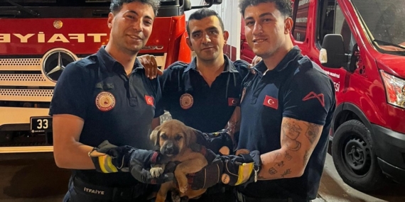 Otomobilin motoruna sıkışan yavru köpeği itfaiye kurtardı