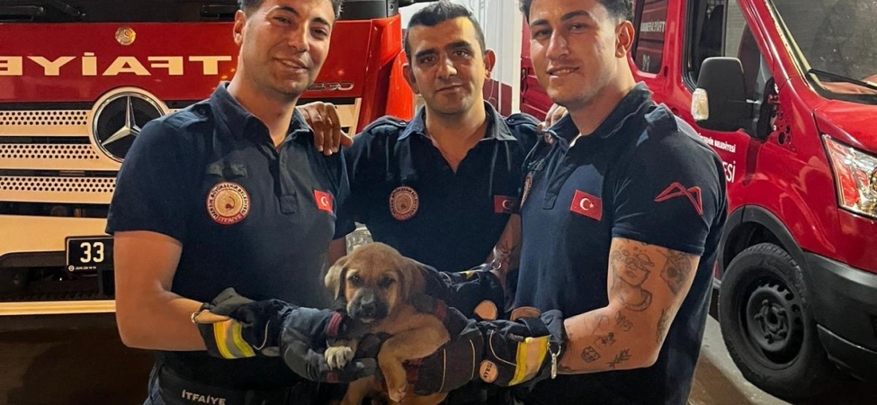 OTOMOBİLİN MOTORUNA SIKIŞAN YAVRU KÖPEĞİ İTFAİYE KURTARDI