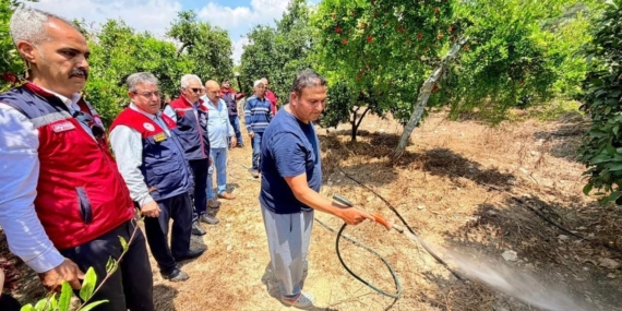 Toroslar’da Üreticilere Akdeniz Meyve Sineği İçin İlaç Desteği