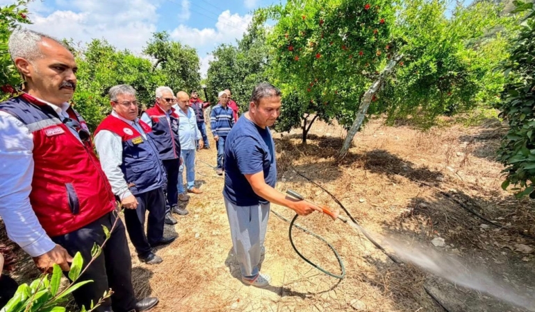 Toroslar’da Üreticilere Akdeniz Meyve Sineği İçin İlaç Desteği