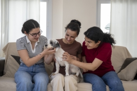 MERSİN'DE SAHİPLENDİRME KAMPANYASIYLA BİN 927 KÖPEK YENİ YUVASINA KAVUŞTU