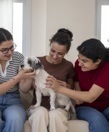 MERSİN'DE SAHİPLENDİRME KAMPANYASIYLA BİN 927 KÖPEK YENİ YUVASINA KAVUŞTU