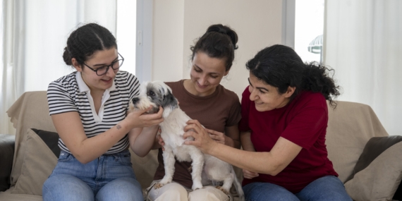 Mersin’de sahiplendirme kampanyasıyla bin 927 köpek yeni yuvasına kavuştu