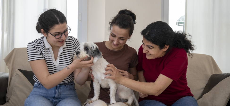 MERSİN'DE SAHİPLENDİRME KAMPANYASIYLA BİN 927 KÖPEK YENİ YUVASINA KAVUŞTU